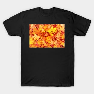 Orange maple leaf fall on ground T-Shirt